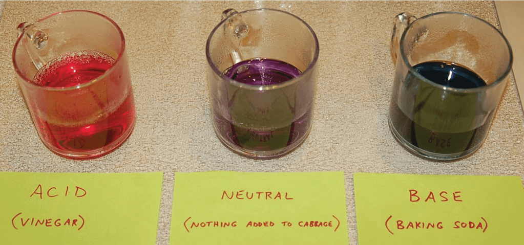 Medição & Controle PH em controle de Processos 4 image 11