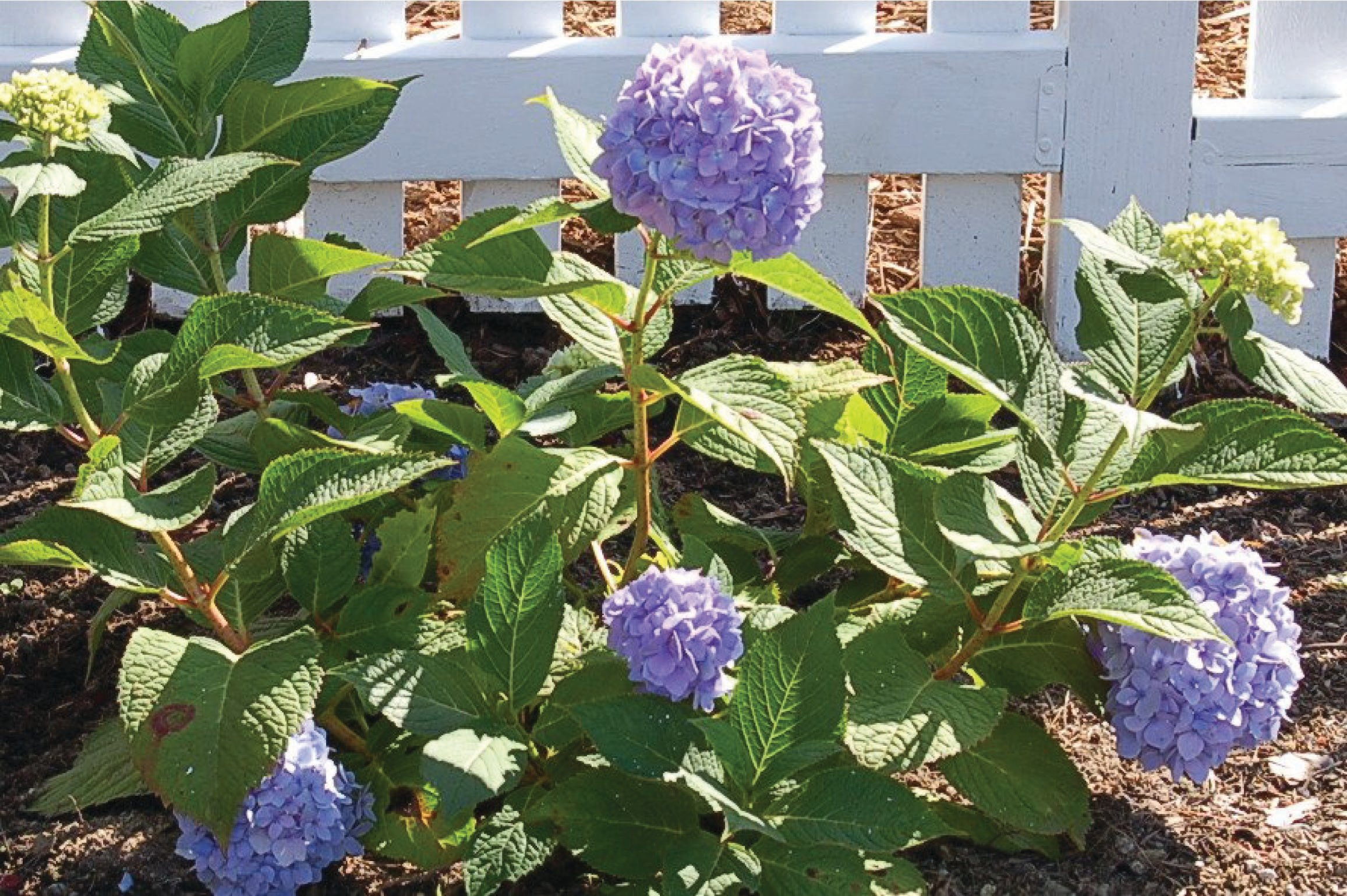Medição & Controle pH em controle de Processos 3 image 8